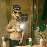 original sound - PUROHUMOR